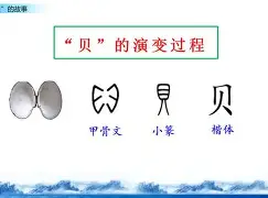 贝林厄姆末曾一心留队细节曝光的简单介绍