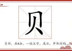 贝林厄姆末曾一心留队细节曝光的简单介绍